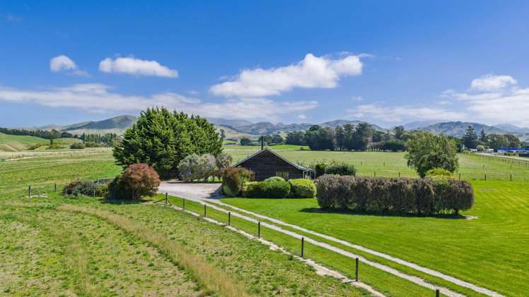 36 Seddon Street Ward_15