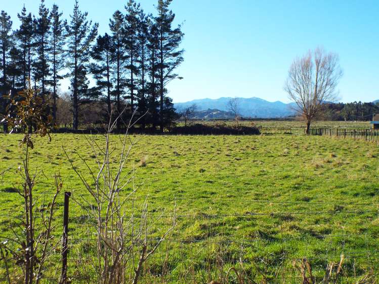 400 Katherine Mansfield Drive_0