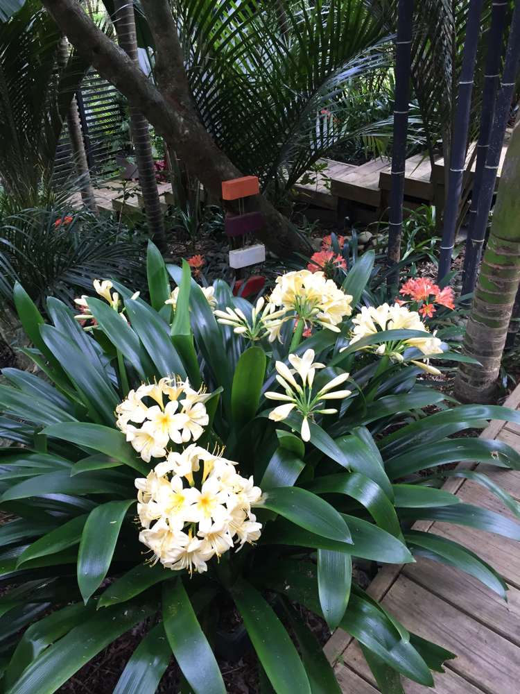 567 South Titirangi Road Titirangi_16