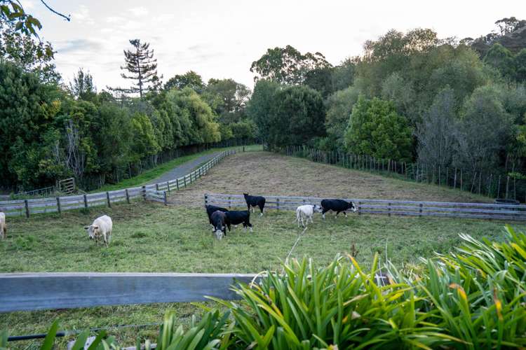 443 Scotsman Valley Road Tauwhare_17