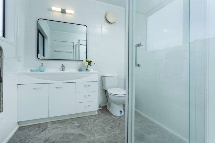 10 Mescal Street Massey_9