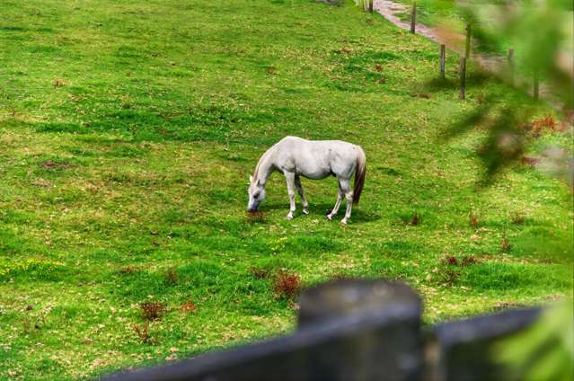 1014 South Head Road, South Head Helensville_1