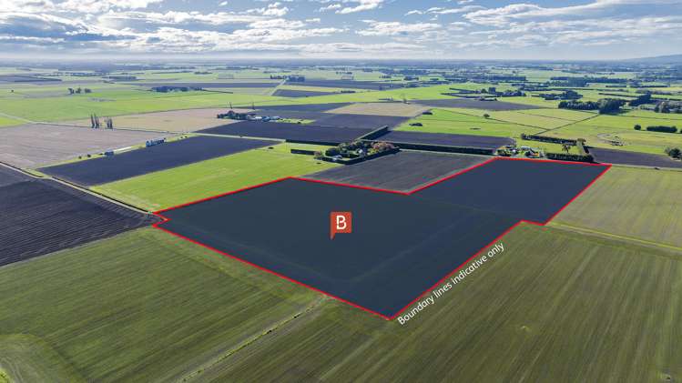 (10ha) Prossers Road Leeston_3