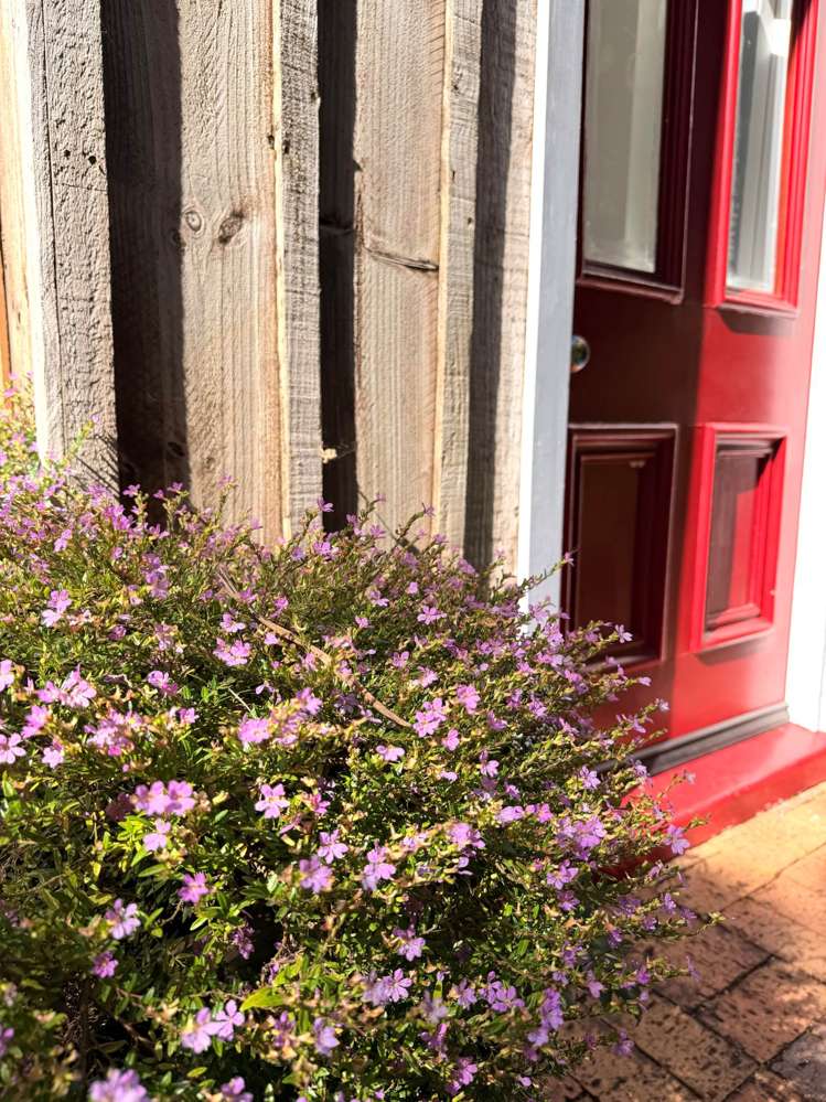 51 Wood Bay Road Titirangi_24