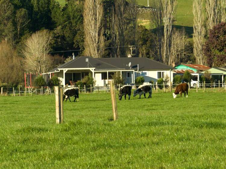 82 Thorn Road Dovedale_21