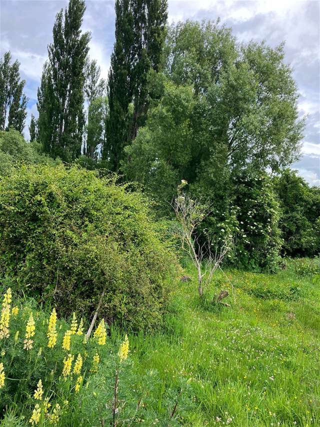 41 Eddystone Street Kaitangata_1