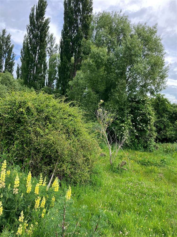 41 Eddystone Street Kaitangata_1