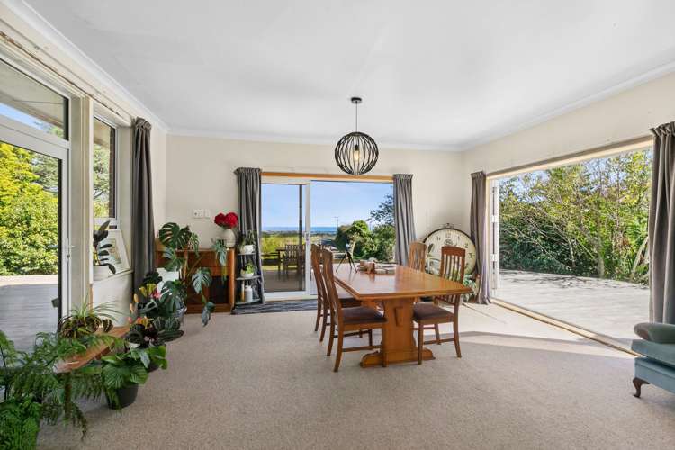 483 Upper Pitone Road Pitone_9