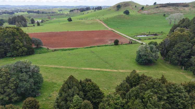664a Te Pua Road Kaikohe_5