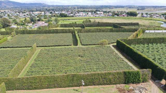 170 State Highway 35 Tirohanga_3