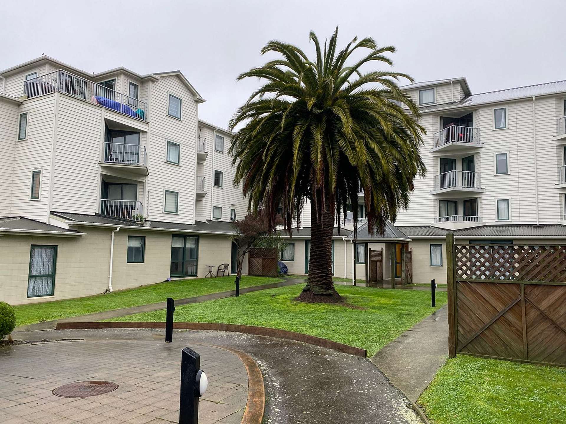 C4/13 Palm Grove Berhampore Wellington City Houses for Rent One