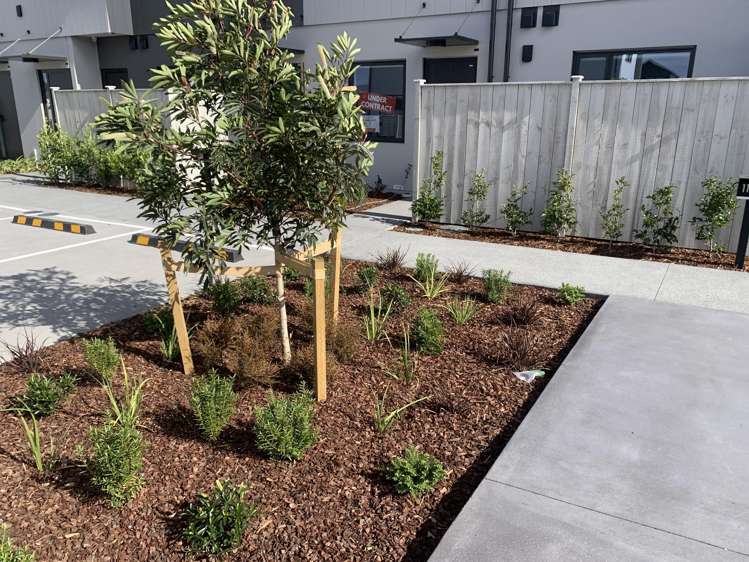 10/18 PARAONE CRESCENT "WAIATA SHORES" Takanini_15