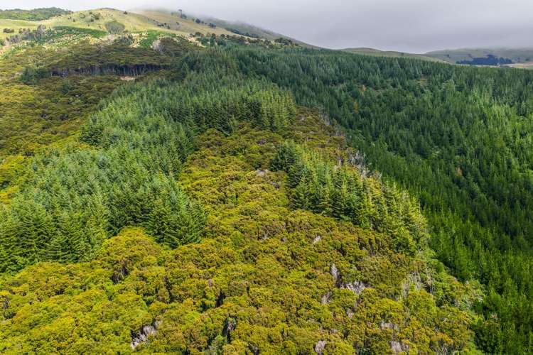 226 Middle Road Pigeon Bay_13