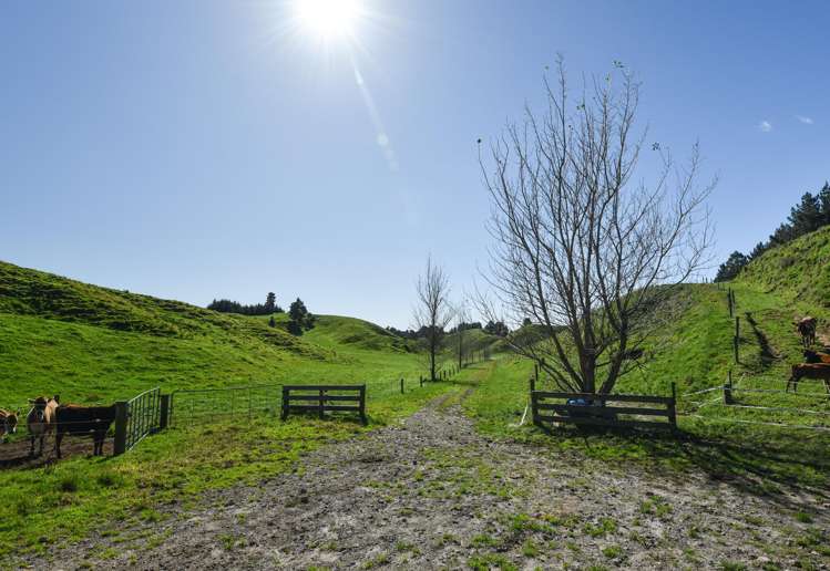 248 Lichenstein Road Okere Falls_11