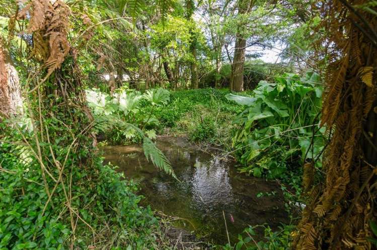 91 Harley Street Solway_11