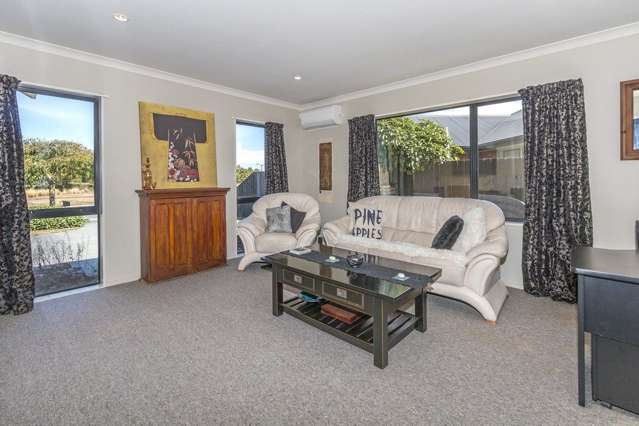 29 Dryden Avenue Rolleston_3