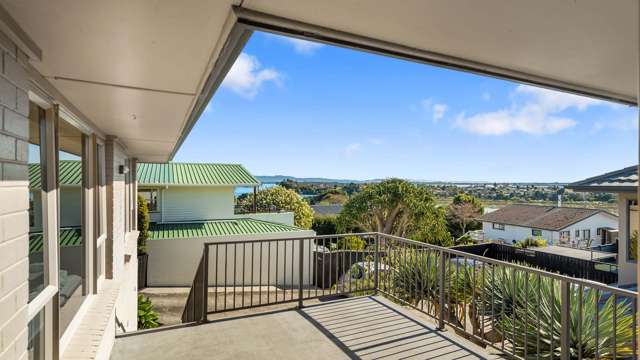 31 Princess Road Bellevue_4