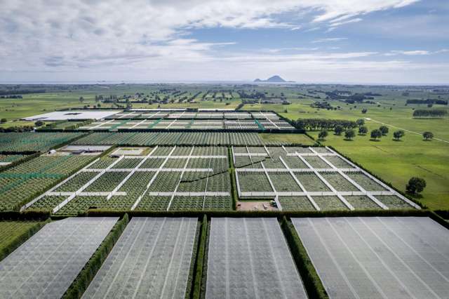 187 Western Drain Road Edgecumbe_2
