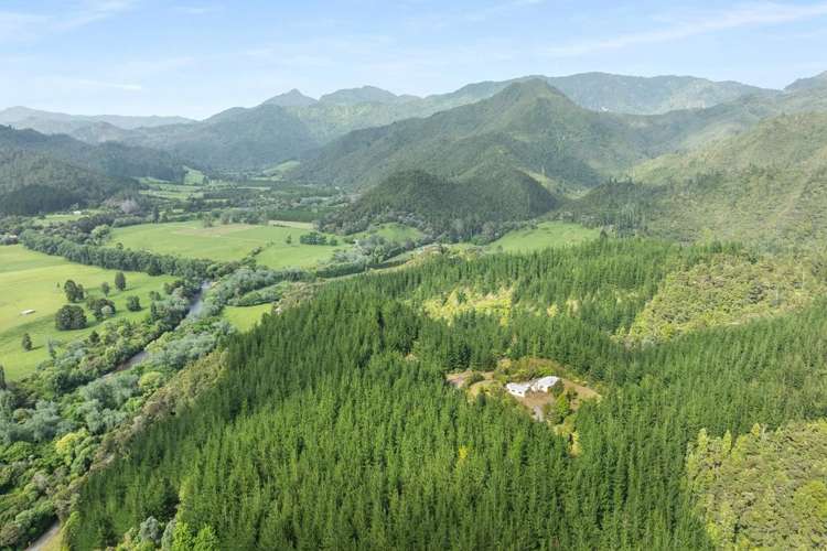 112 Hikuai School Road, Hikuai Tairua_6