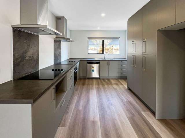 41B Matipo St Riccarton_1