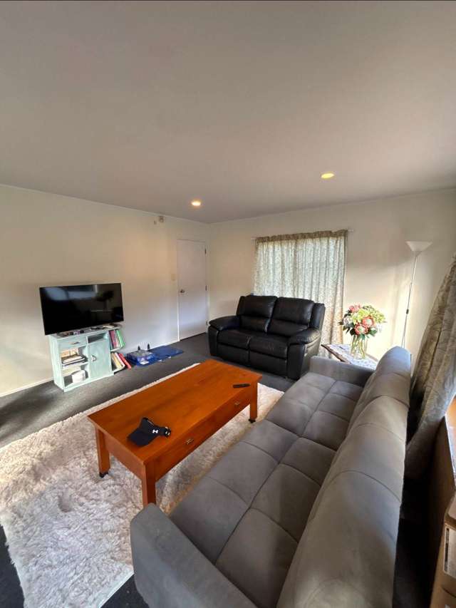 14E Ballarat Street Ellerslie_4