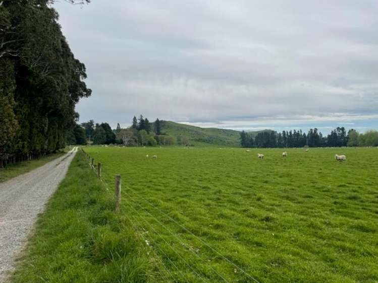 577 Quarry Road Mesopotamia_10