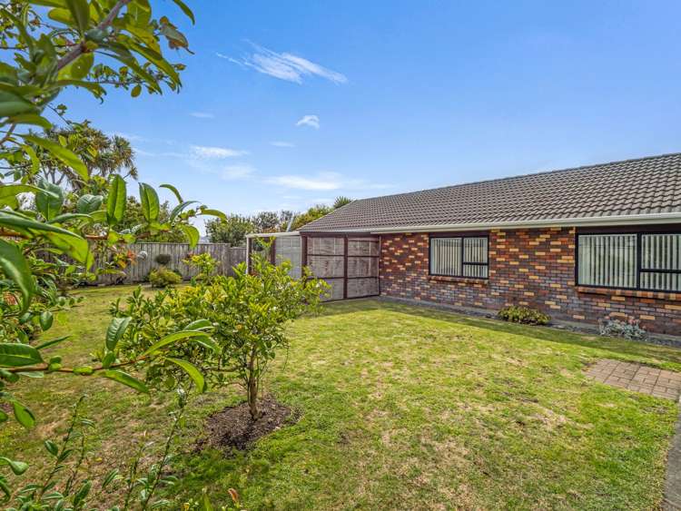 3B Handley Street Gonville_29