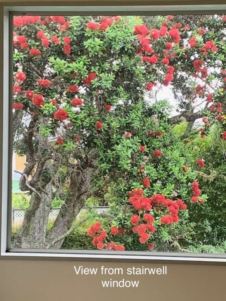 3b Kowhai Crescent Paihia_15