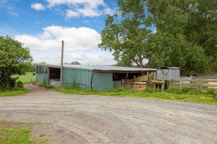 250 No 8 Road Morrinsville_24