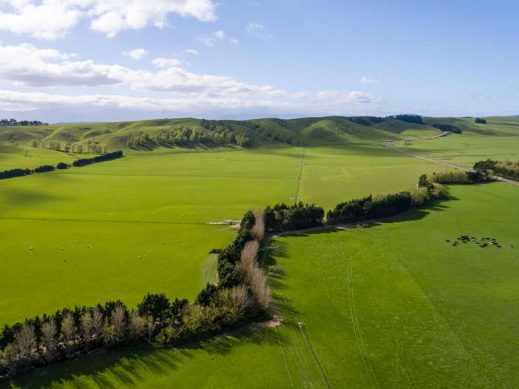 White Rock Road Martinborough_10