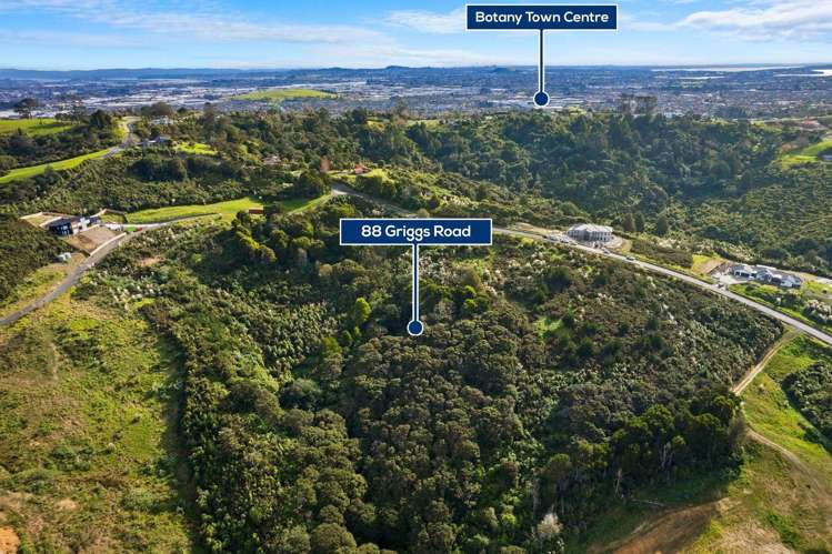 88 Griggs Road East Tamaki Heights_8