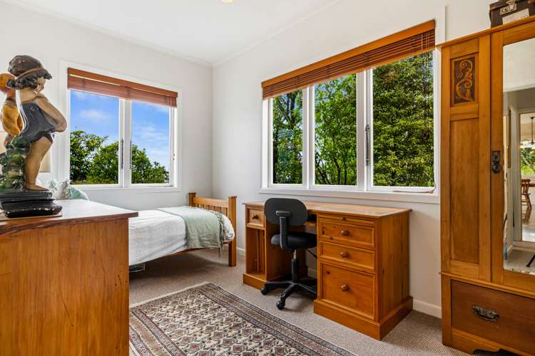 36 Albany Heights Road Albany Heights_17