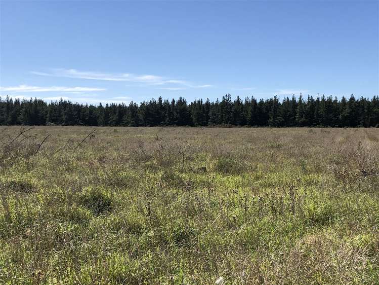 80 Struie Road Hororata_15