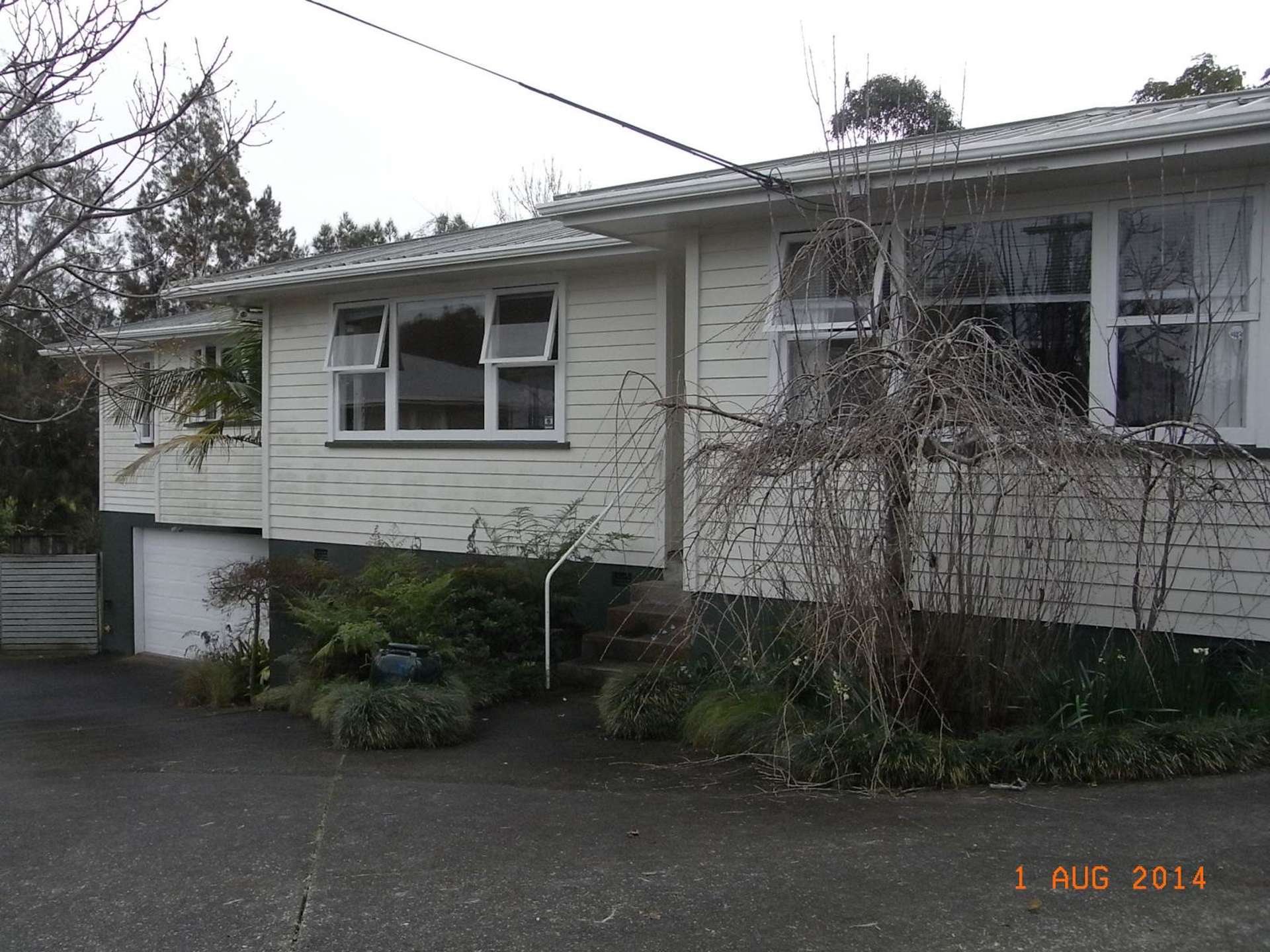 103 Webster Avenue Mount Roskill_0