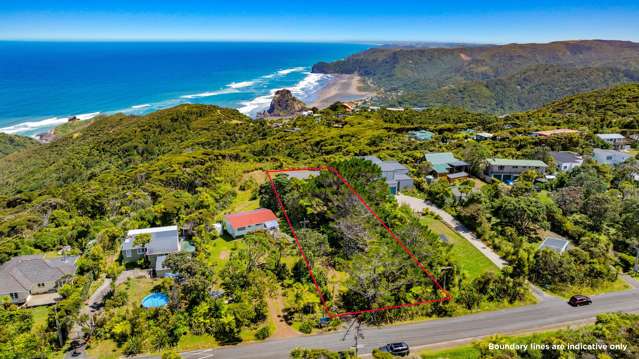 11 Te Ahuahu Road Piha_2