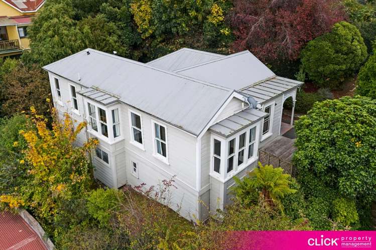 54 Cargill Street Dunedin Central_13