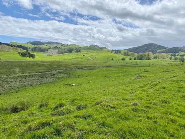 1371 Waihue Road Dargaville Surrounds_1