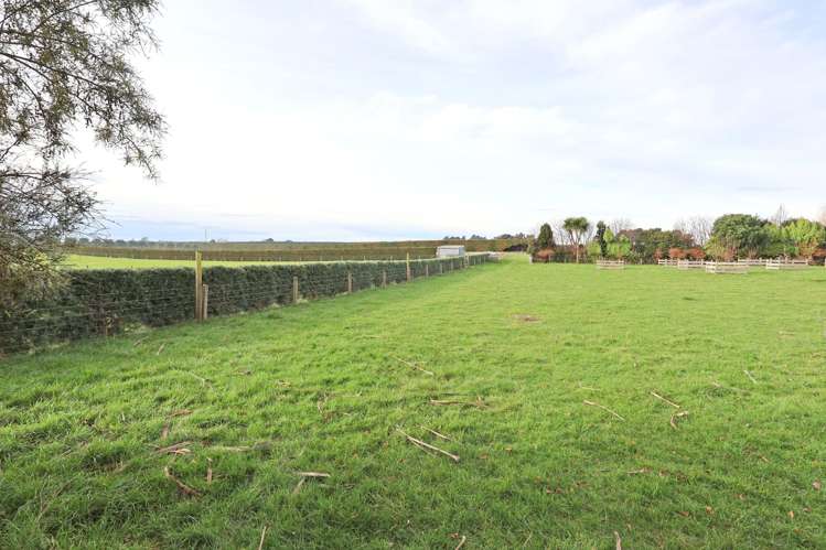 432a Lorne Dacre Road Roslyn Bush_30