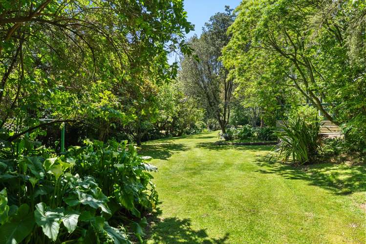 358 Valley Road Whataupoko_20