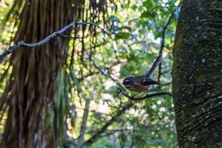 9 Sherwood Lane Cashmere_13