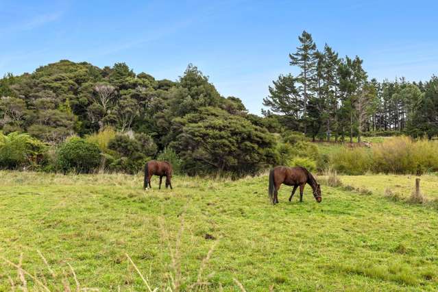 Prop Lot 2 29 McGowan Street, Puponga Golden Bay_4