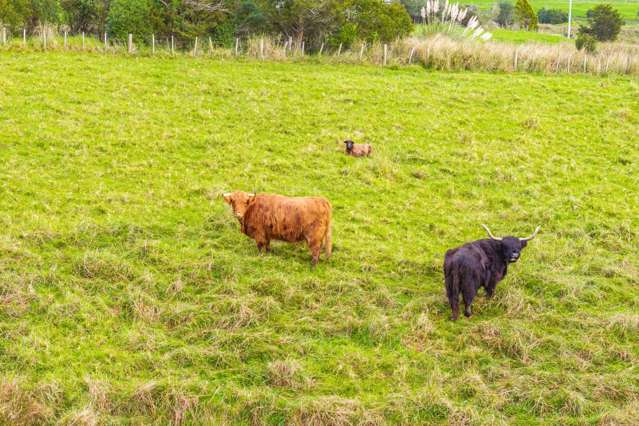 10 Taipuha Settlement Road Paparoa_2