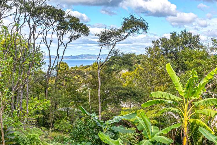 15 Puriri Place Coromandel_5