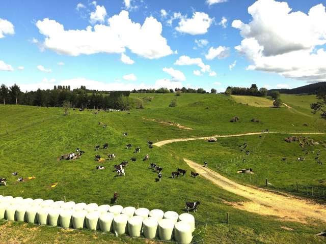 1/1745 Arapuni Road Parawera_3