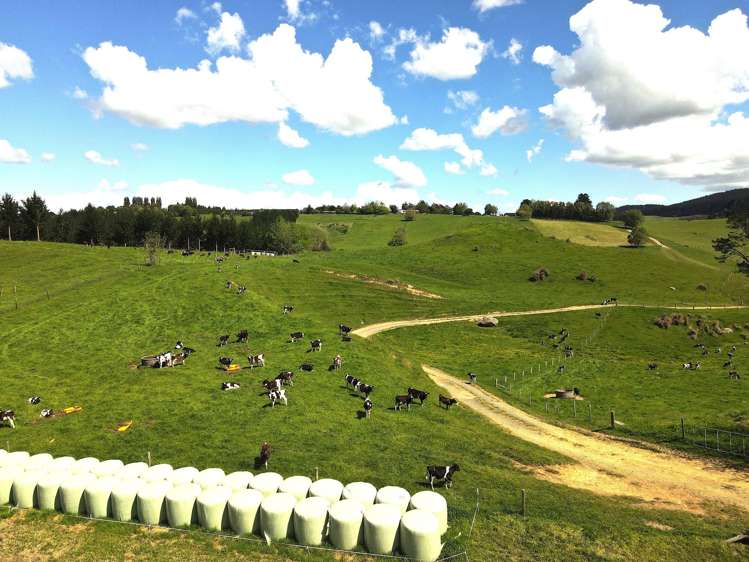 1/1745 Arapuni Road Parawera_3