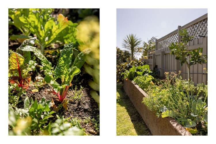 22a Winchester Terrace Bethlehem_15