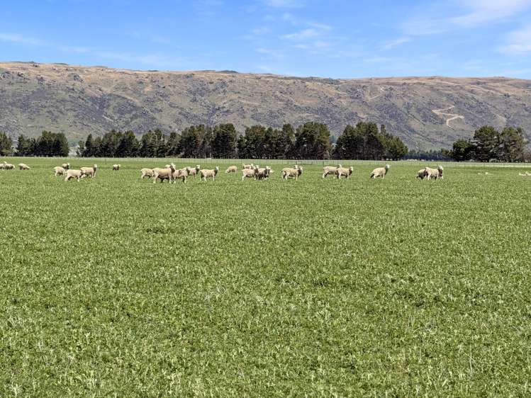 755-971 Linnburn Runs Road Paerau_4