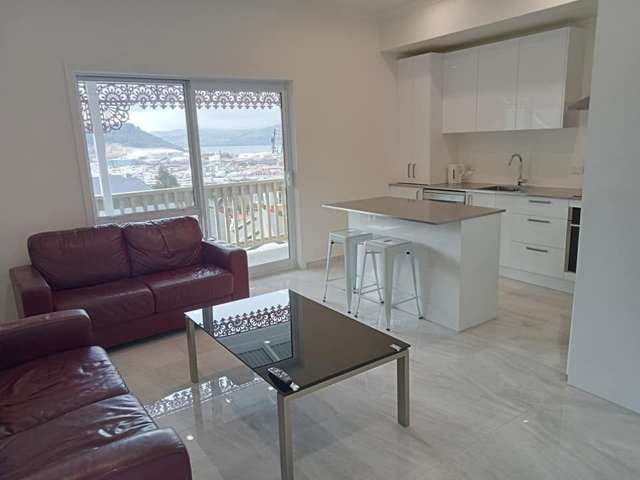 159 Cargill Street Dunedin Central_1