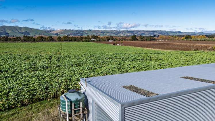 20 Dakins Road East Taratahi_12