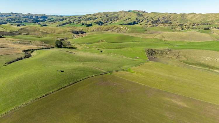 324 Reeces Road Omihi_7